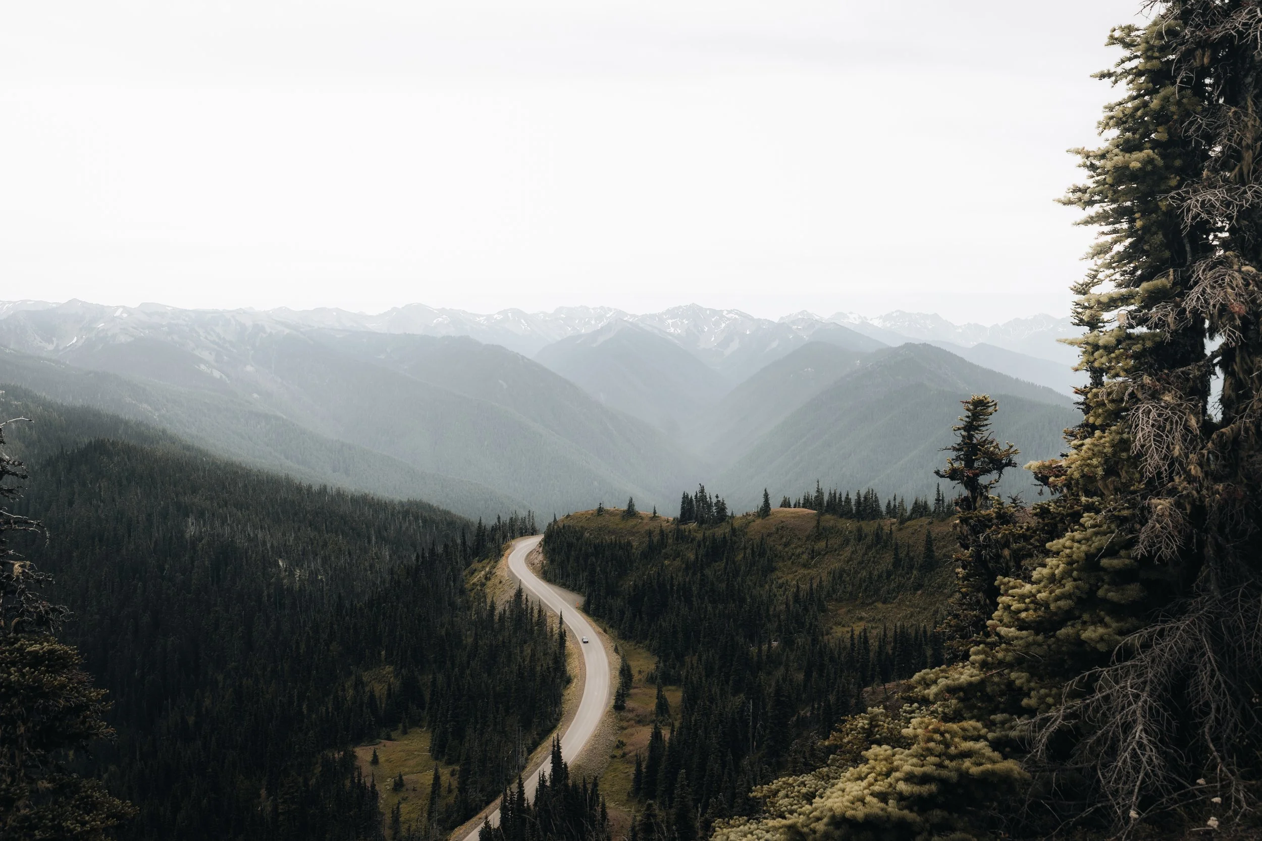 Website Photos Travel-12.jpg