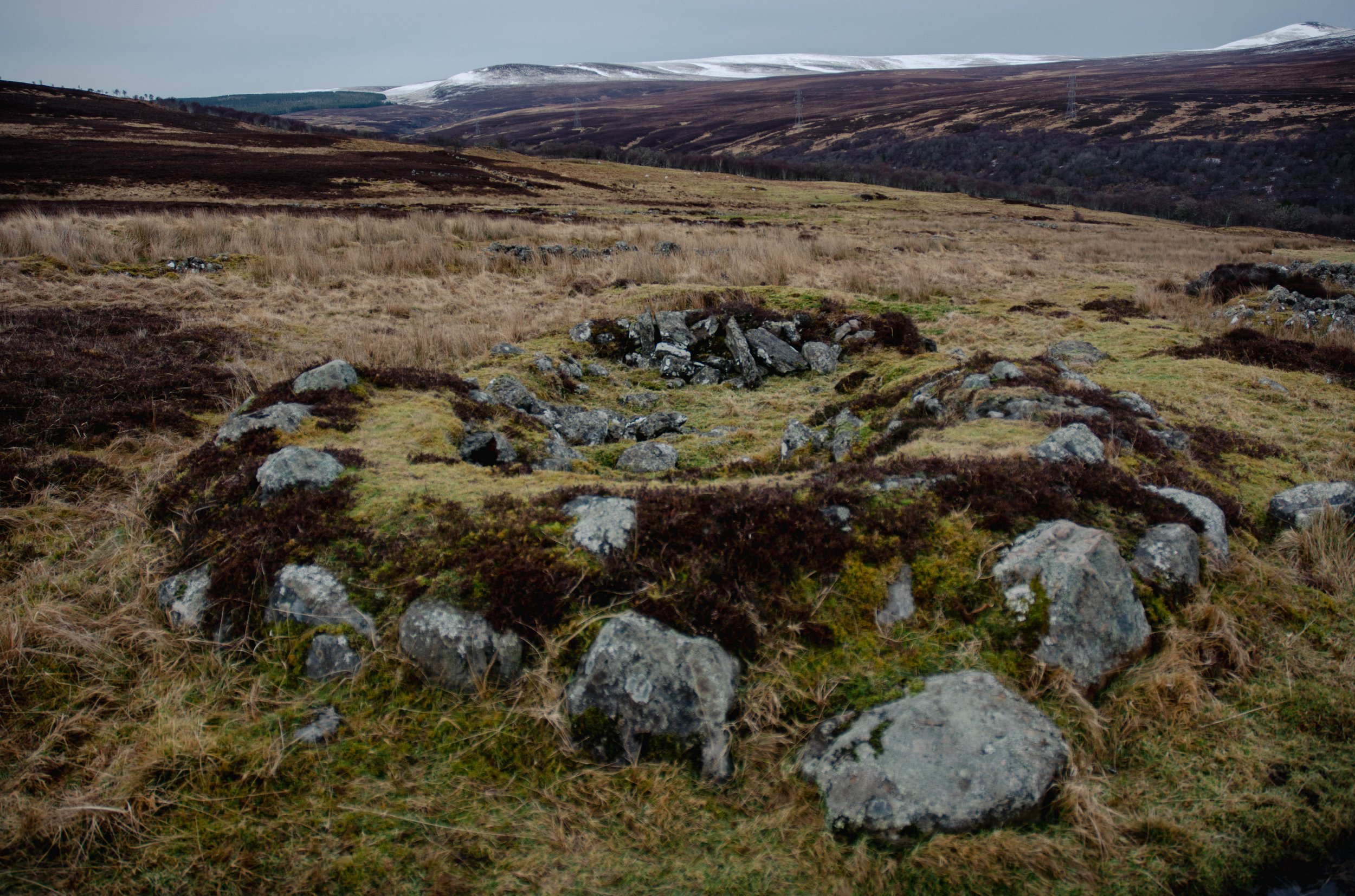 4 (1 of 1)-37.jpg