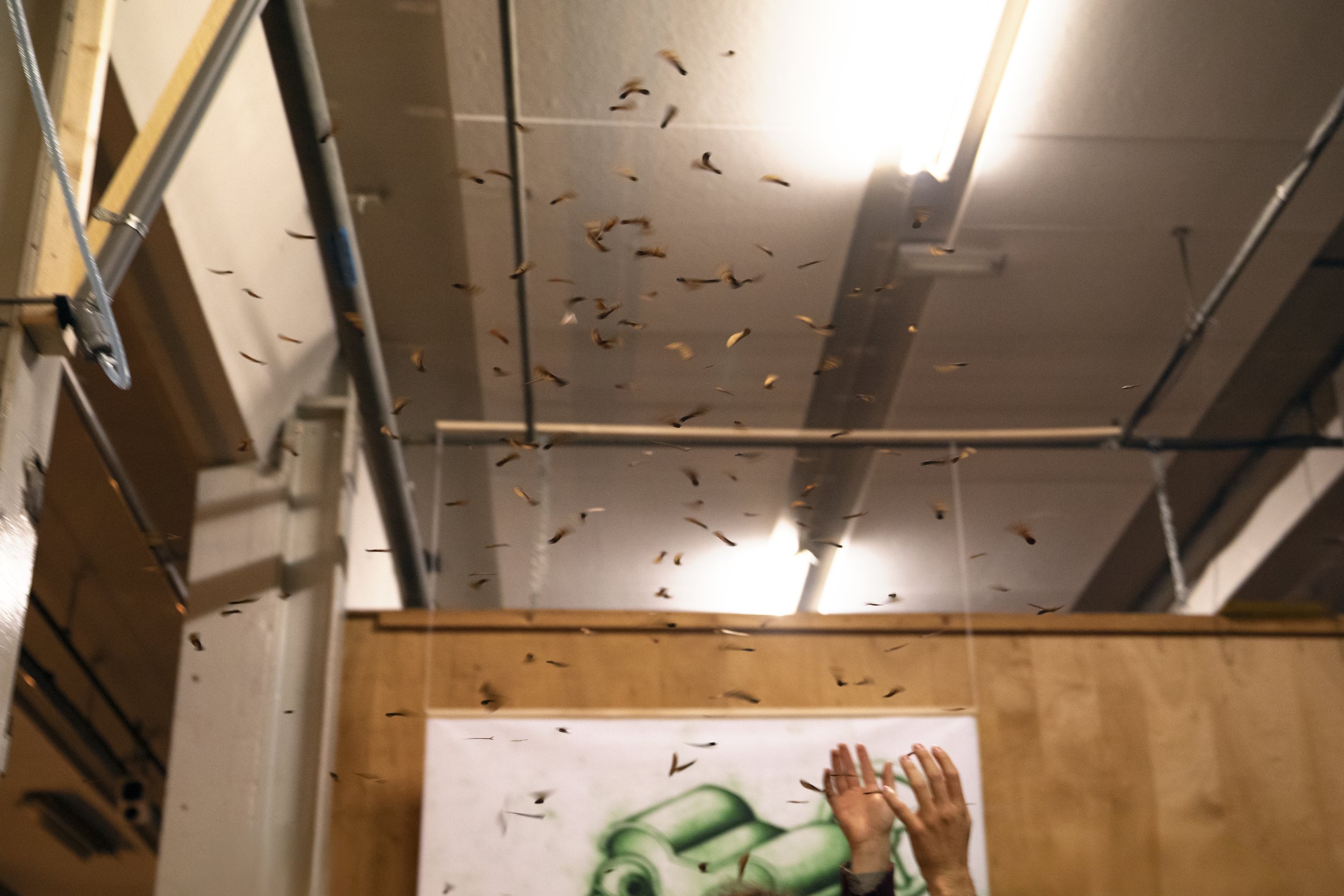 Opening exhibition at Ruis - Nijmegen 2025
(Photo by Nathan van Ewijk)