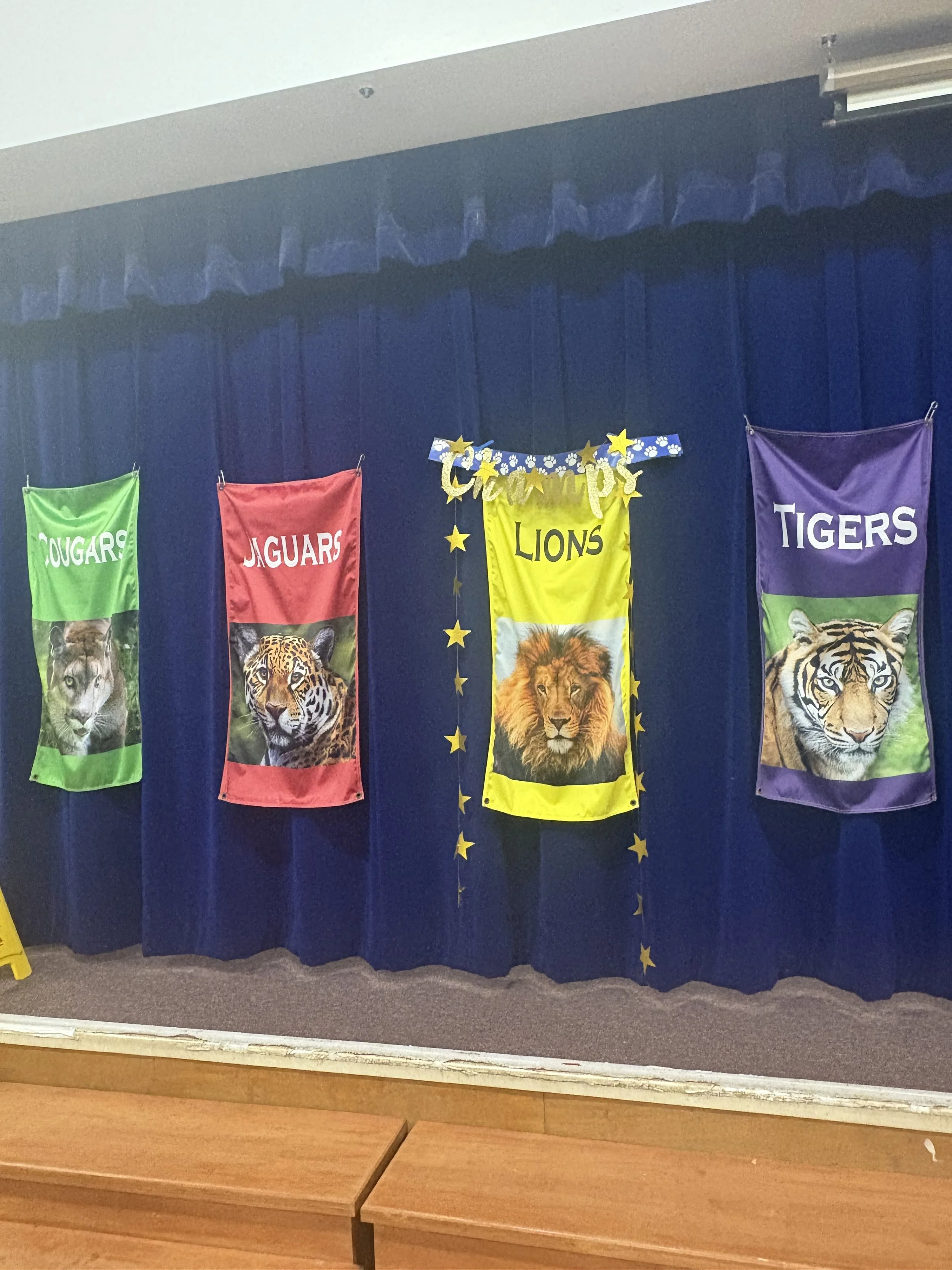 Decorative banners featuring animals representing the different "houses" within Cushing, including a cougar, jaguar, lion, and tiger, hung against a dark blue curtain.