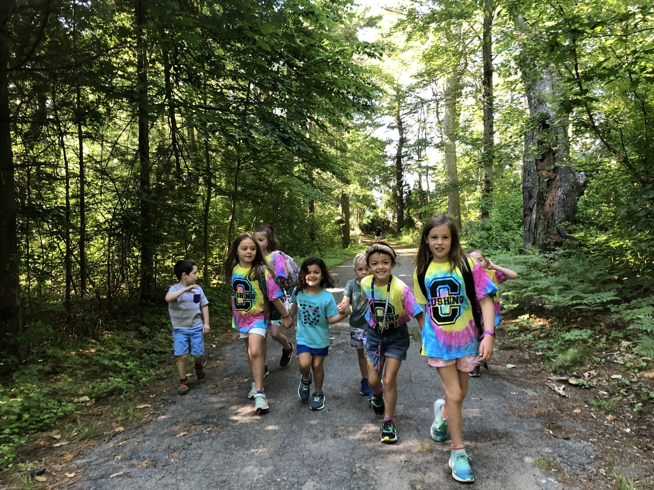 Group of children hiking on a forest trail surrounded by green trees.