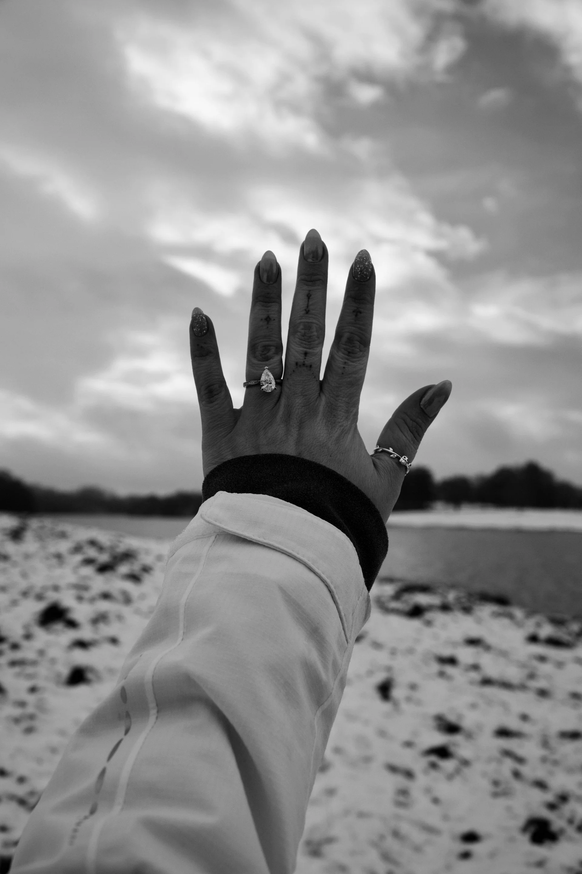 thumbnail__DSC5734.jpg