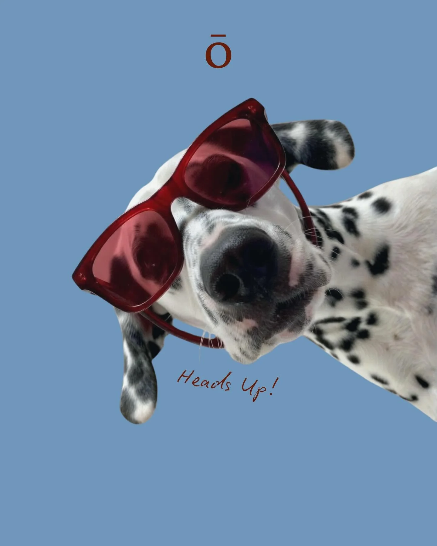 Gō get it while you can 🐇🧺