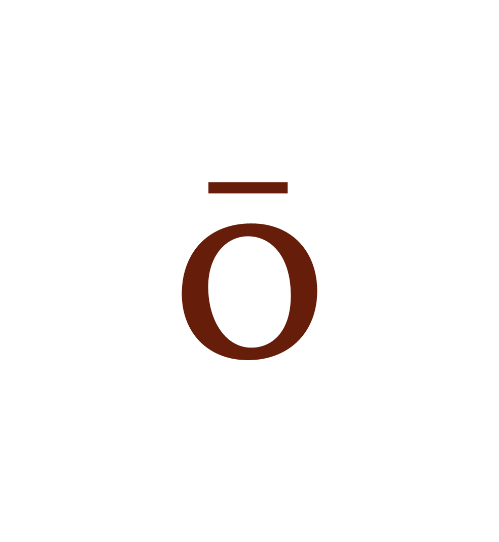 Logo Icon