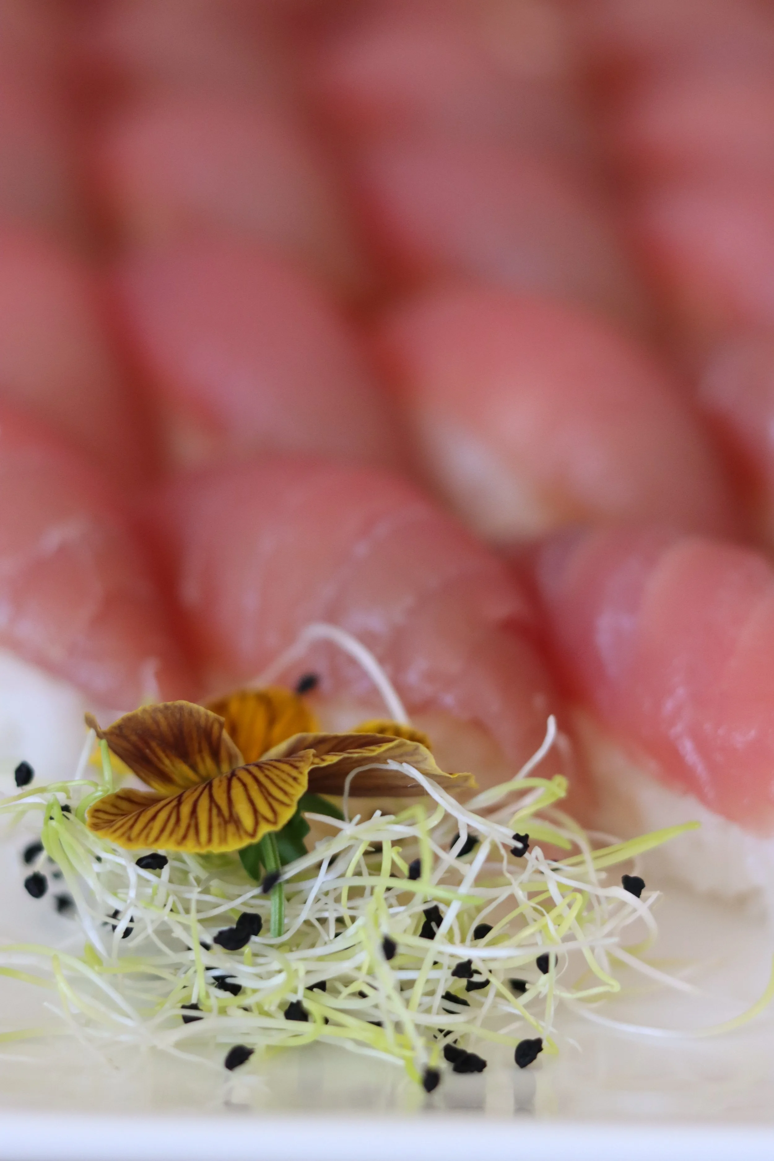 Close-up eines Teller mit Sprossen, essbaren Blüten und schwarzen Sesamsamen, mit einer großen, weichen, rosa-redden Frucht im Hintergrund, vermutlich eine Wassermelone.