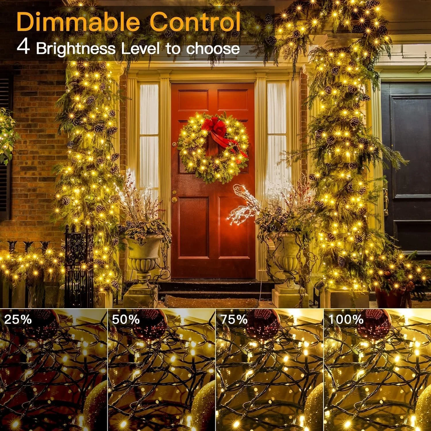 Tree Lights 3.jpg