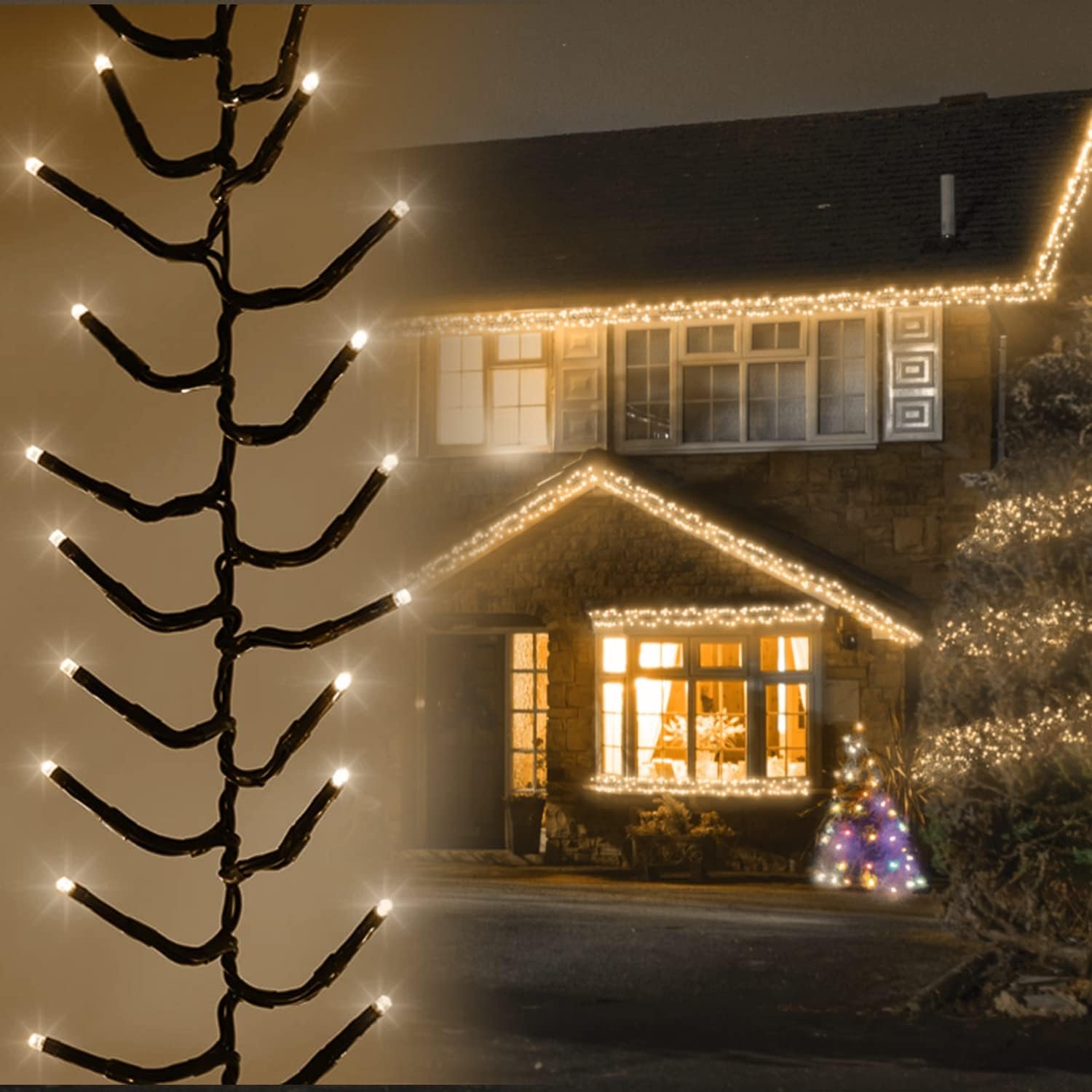 Gutter and Front Facade Lights.jpg
