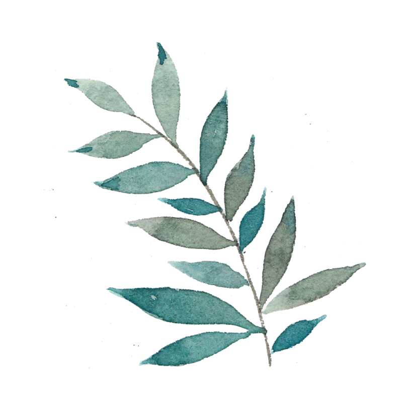 A small plant icon 4.