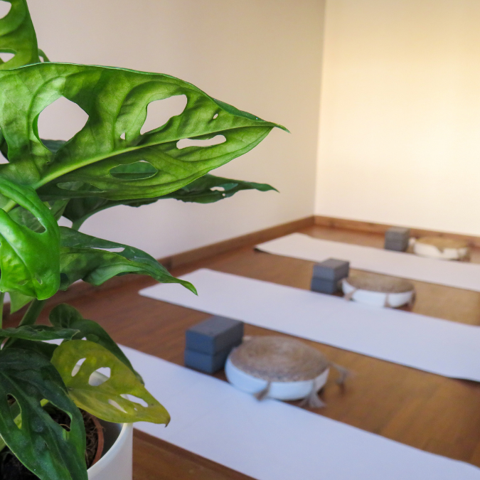 a group of yoga mats set out for a small yoga class.