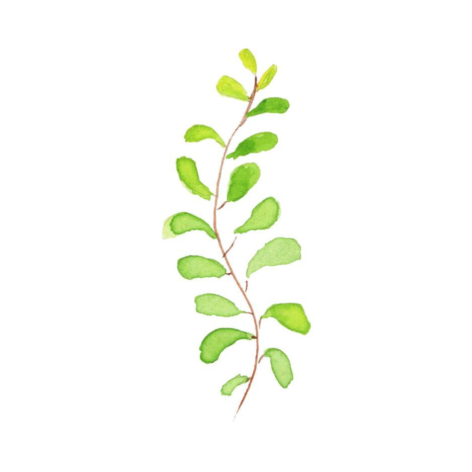 A small plant icon 5.