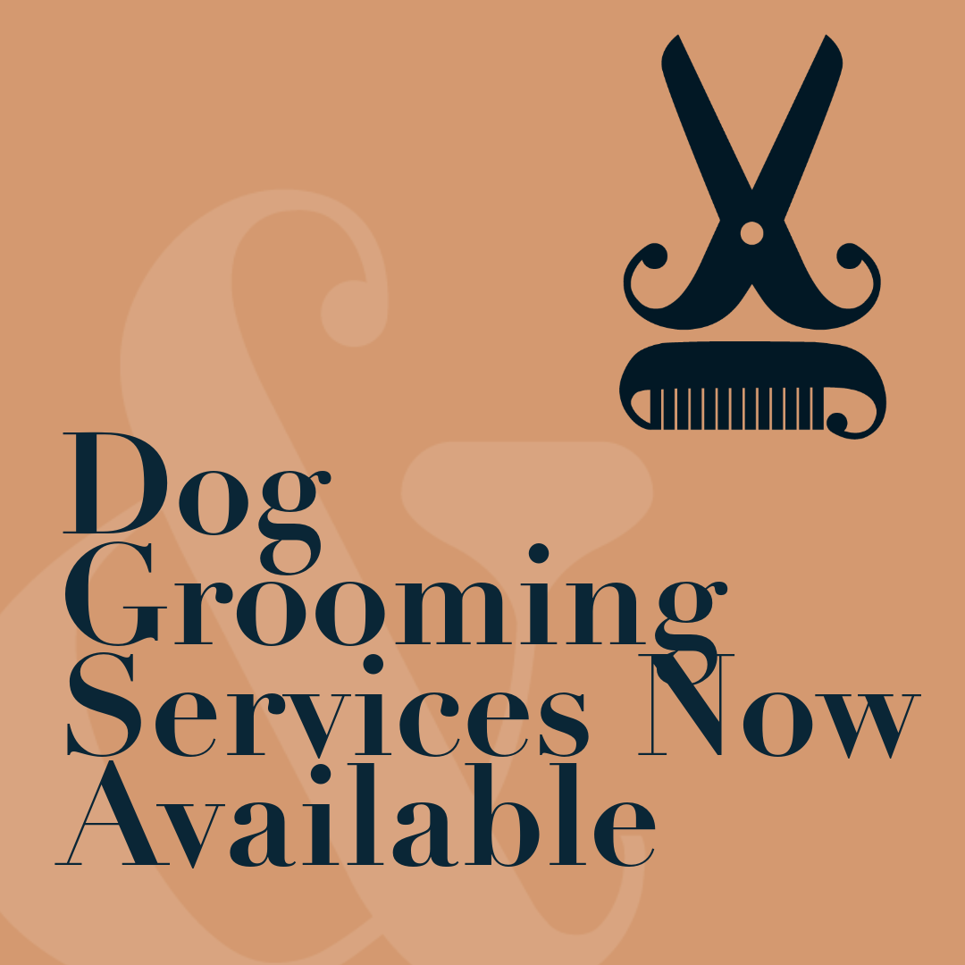 We’re Fully Open: Dog Grooming Services Now Available