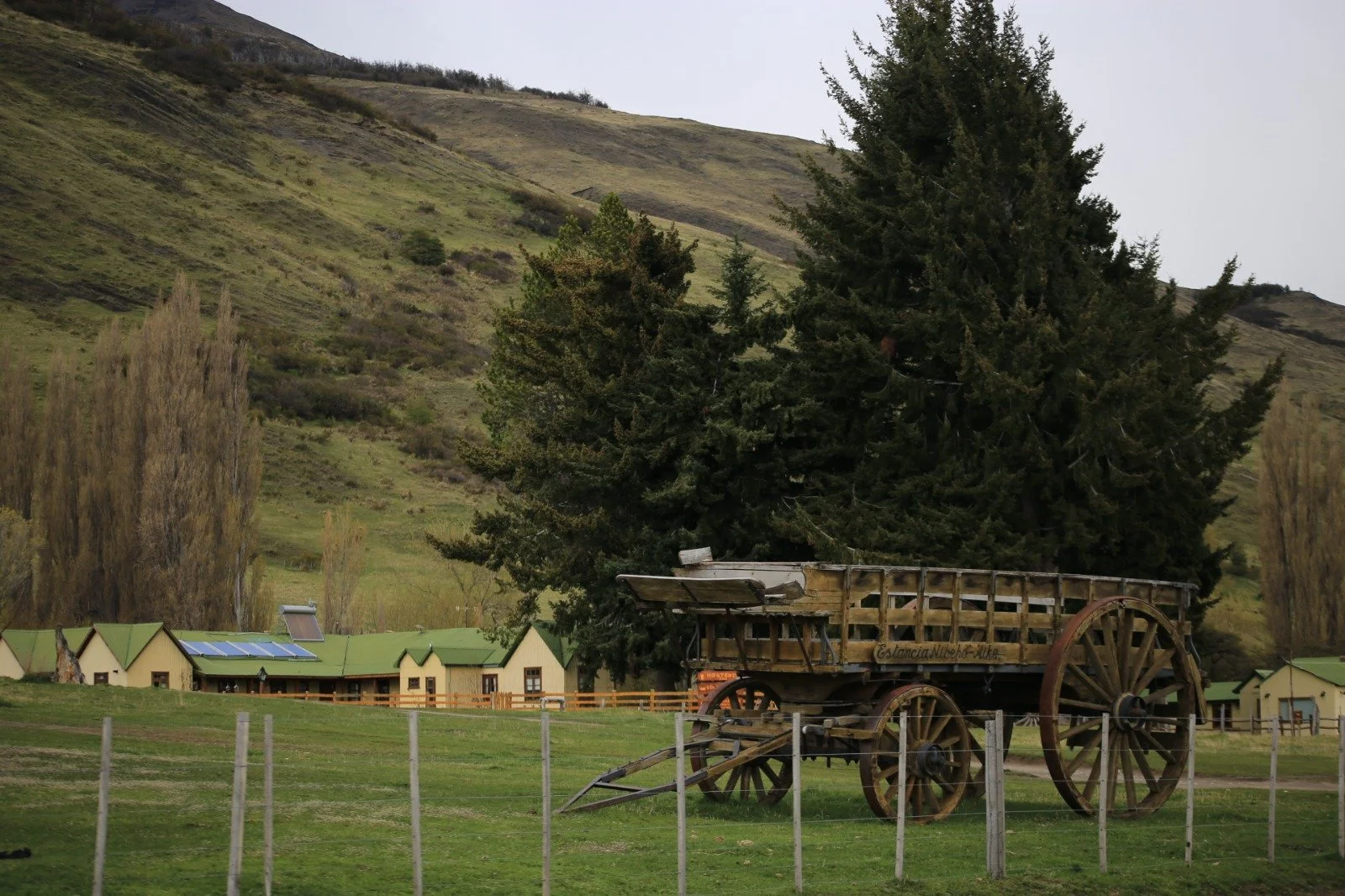 WhatsApp Image 2025-09-19 at 23.03.47 (1).jpeg