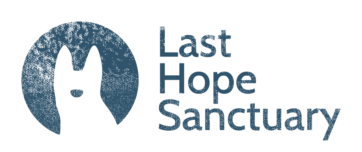 Last Hope Sanctuary