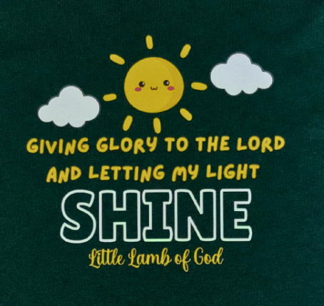 shine shirt zoom in.PNG