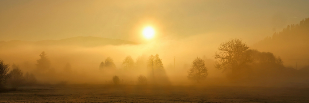 Early Morning Hours