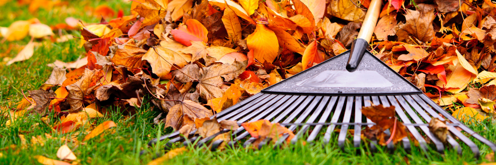 Fall, the Season of Change