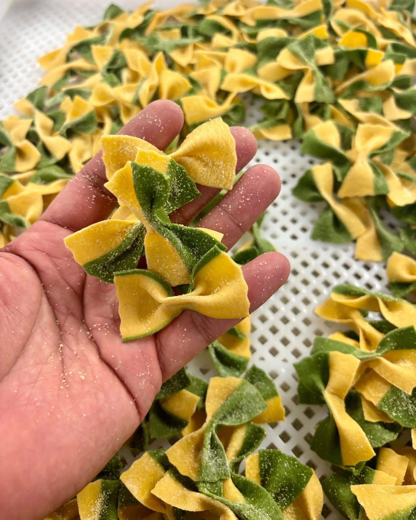 A fresh take on farfalle.

Dressed in Pastaria Vivi green and yellow.