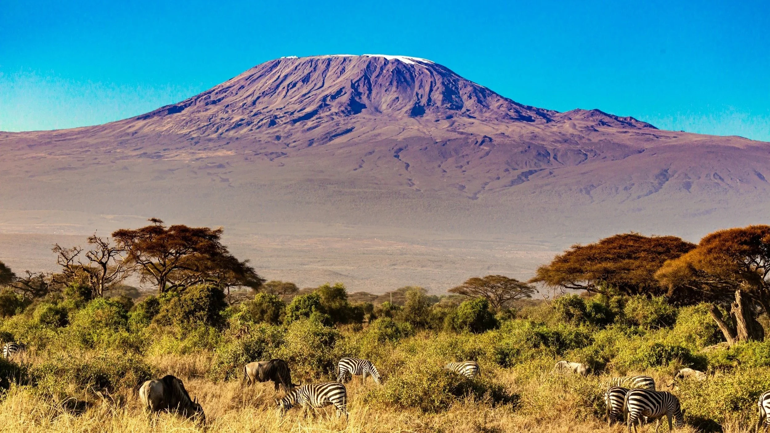 Mt. Kilimanjaro