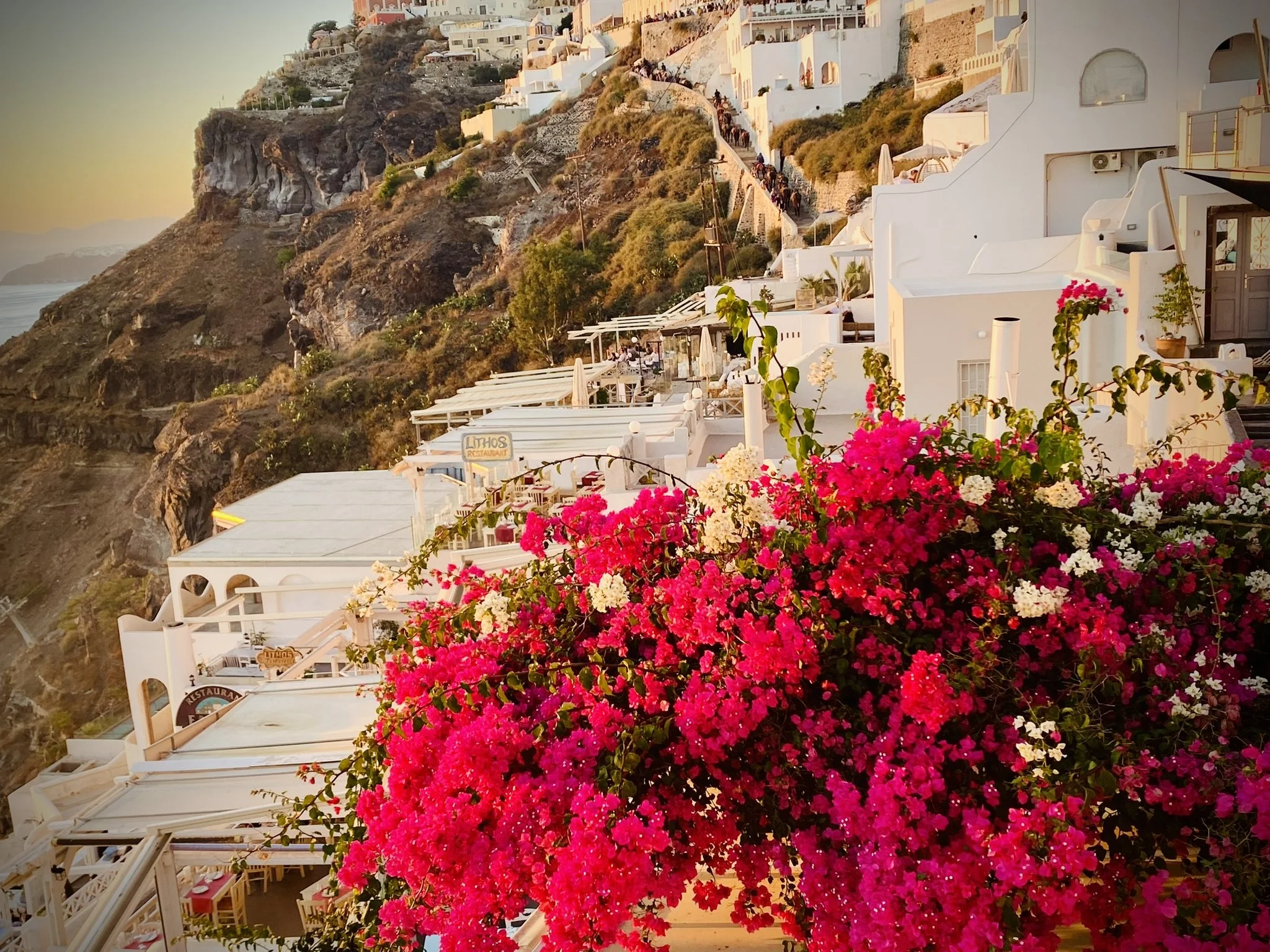 A hillside view overlooking white buildings with terraces and pink and white flowers in the foreground at sunset. - Professional luxury travel consultant and global destination expert in Louisville Kentucky