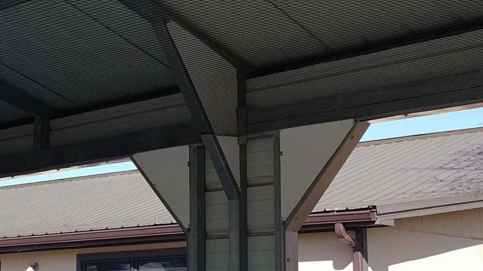 bird netting installation.jpg