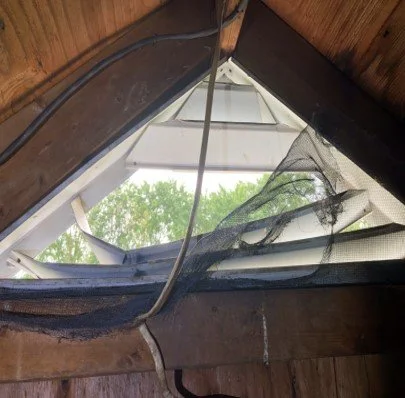 gable vent damage raccoon.jpg
