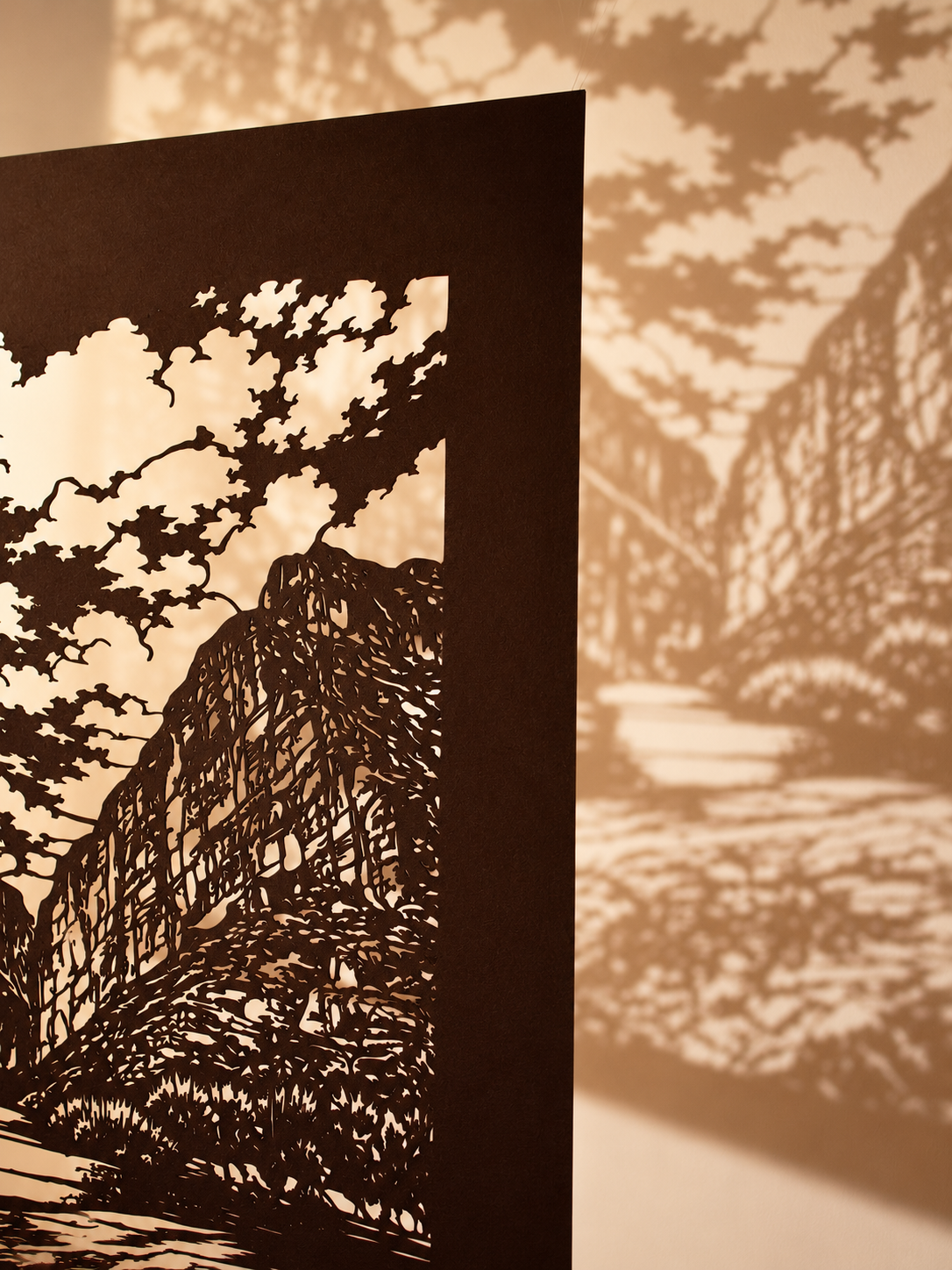 Canyon Shadows Through Cutwork.png