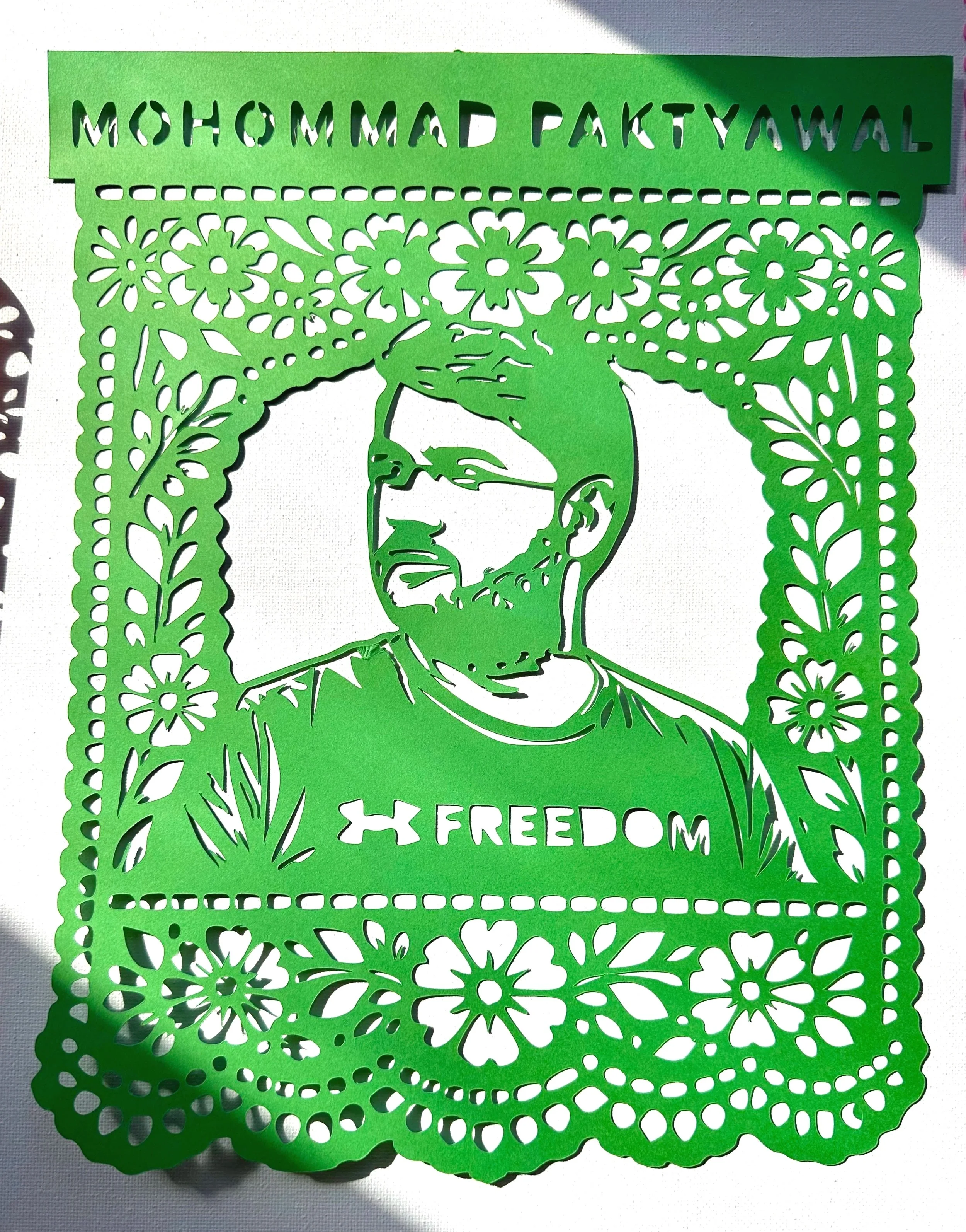 MOHOMMAD PAKTYAWAL Portrait