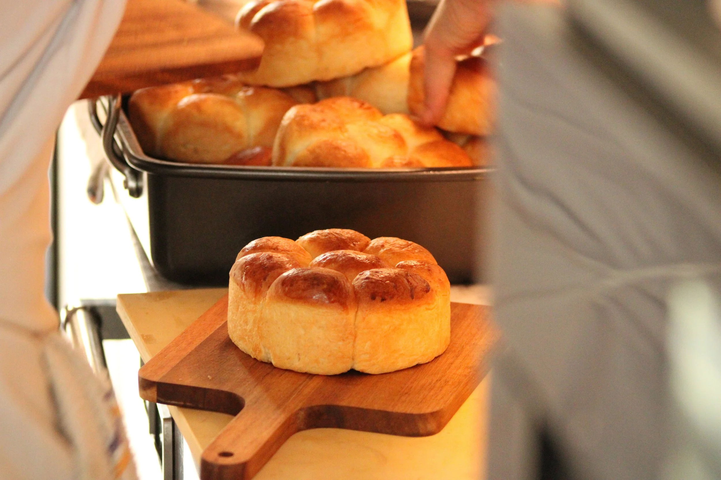 IMG_9572.jpeg