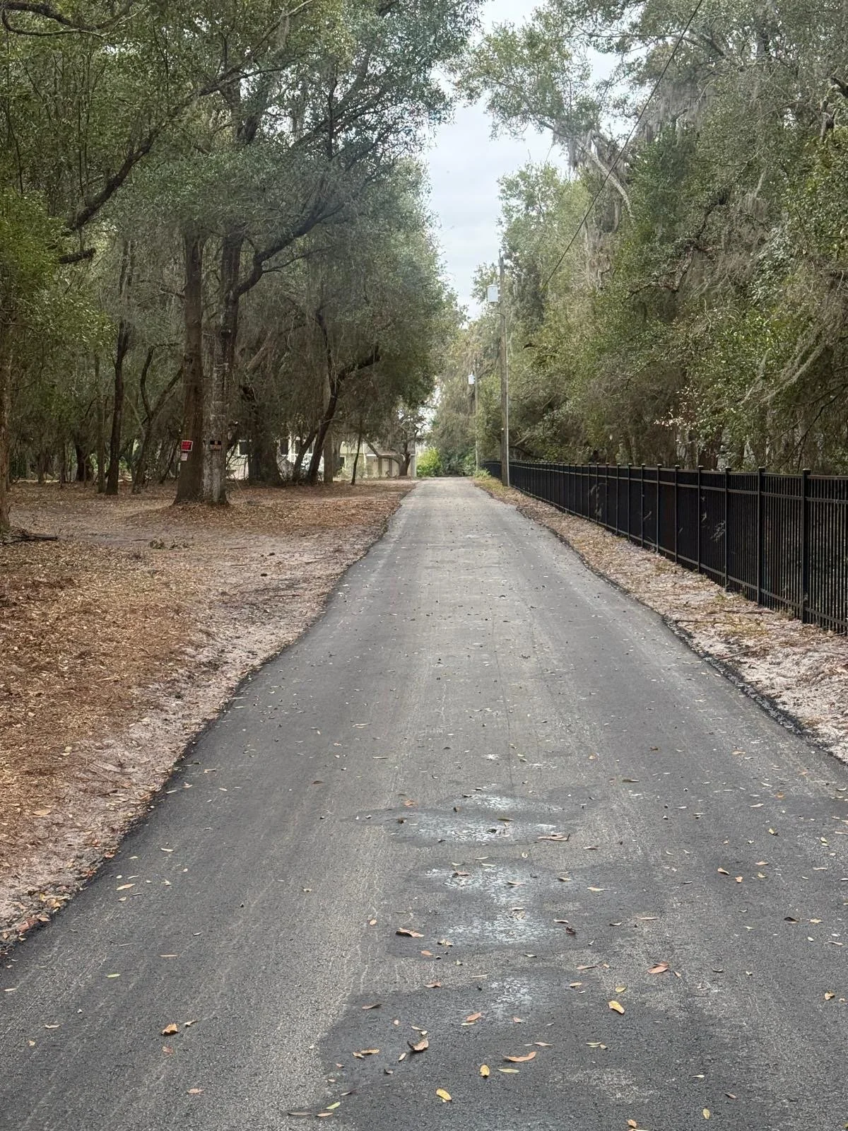 2a65934f-daee-4991-b9fb-0c416951b85a 2.jpeg