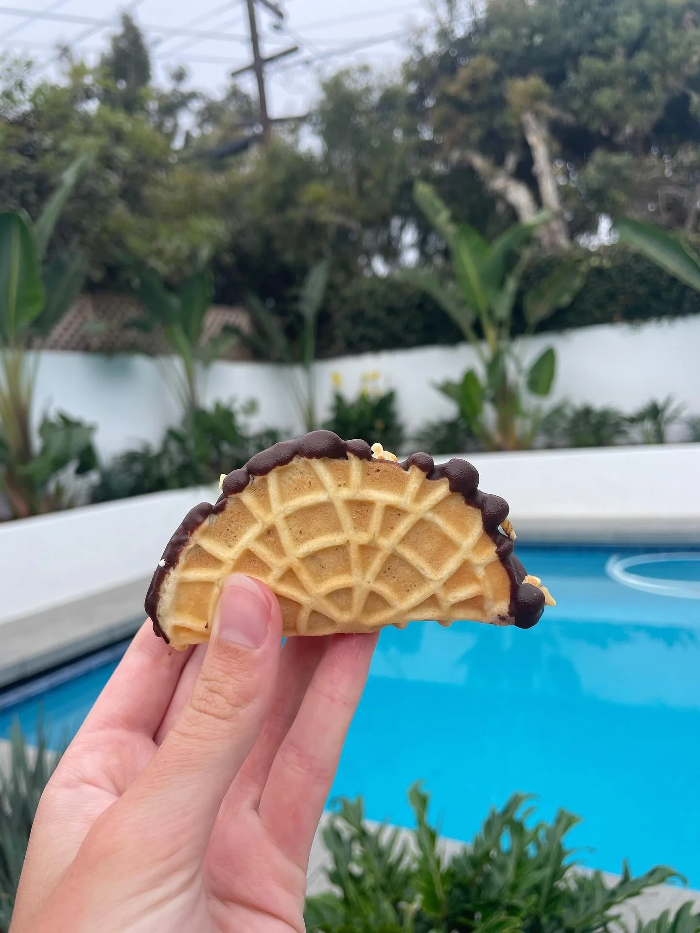 Pizelle ice cream taco shell #icecreamtacos #sandiego #wishdesserts