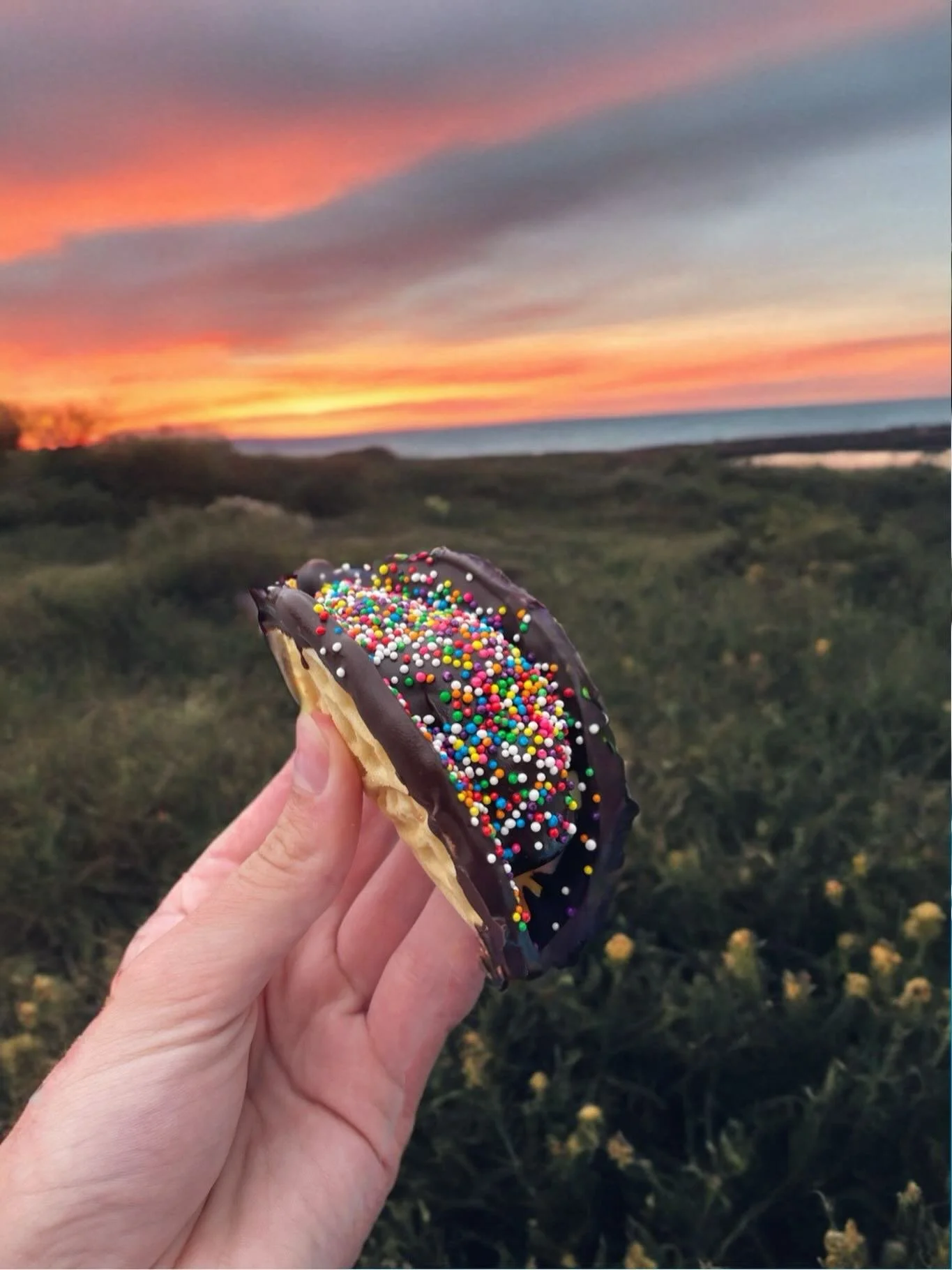 Birthday cake ice cream taco #icecreamtaco #wishdesserts #wish #sandiego