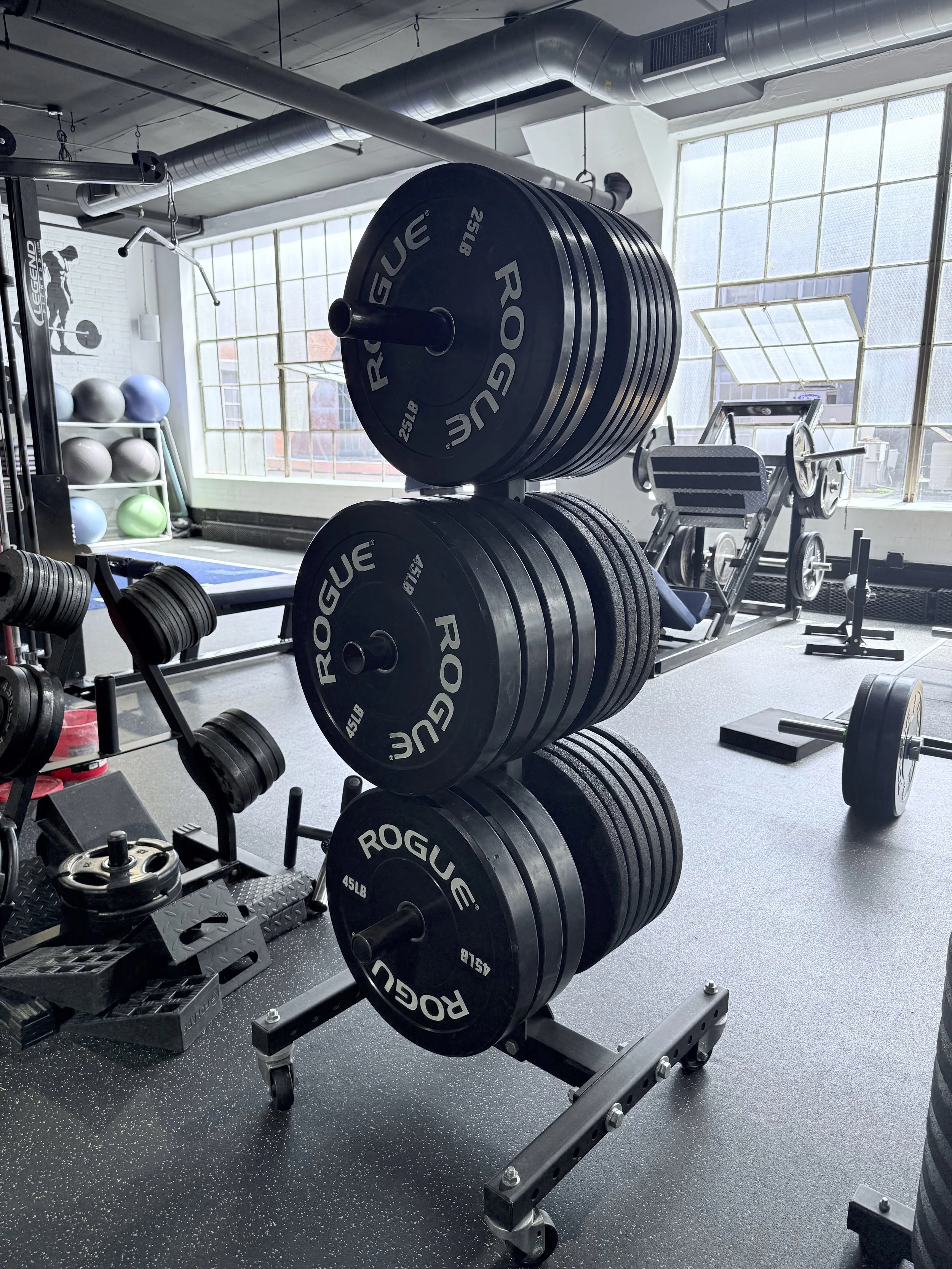 Fitness gym with a weightlifting station holding multiple Rogue weight plates, and various exercise equipment in the background, including medicine balls and a leg press machine.
