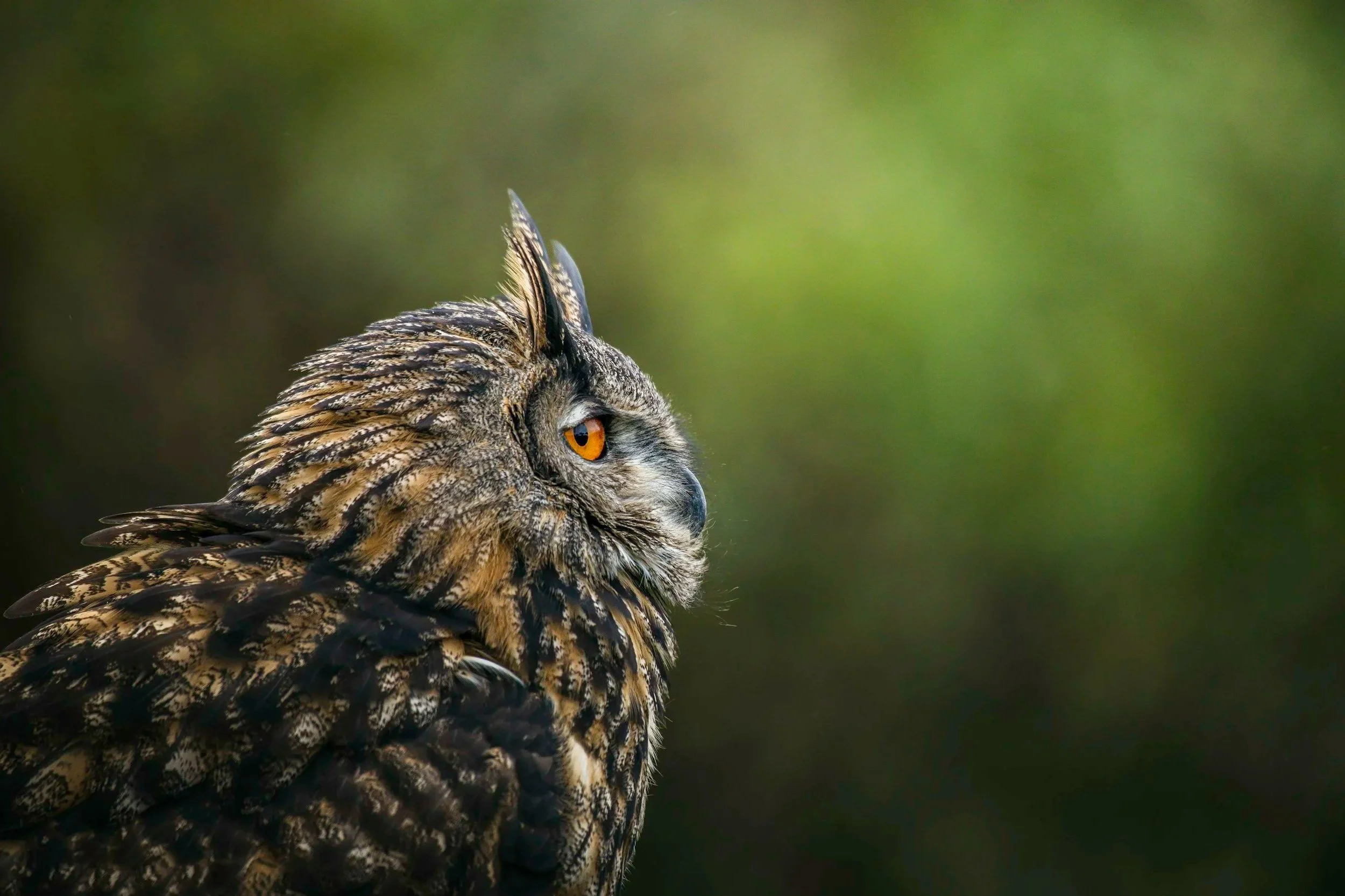 From Attention to Values: Why So Many Designers Feel Exhausted Before Their Careers Even Begin