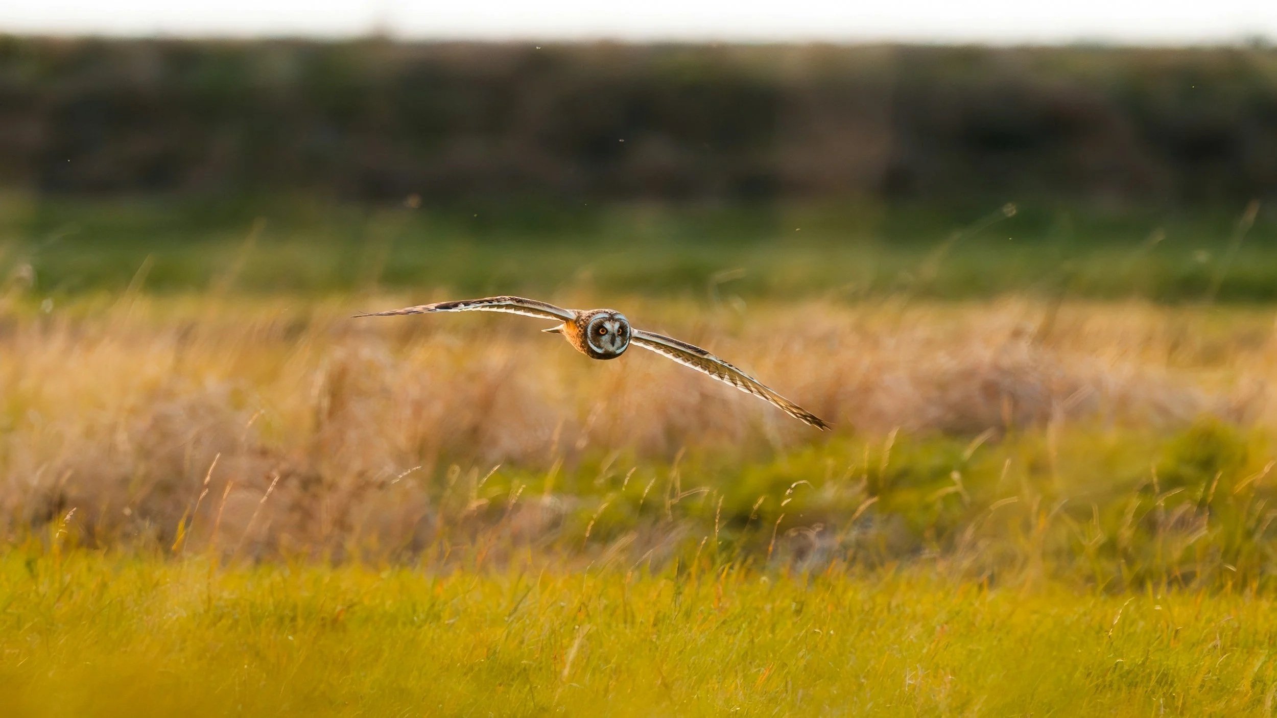 Designing a Values-Driven Career: Confidence Comes From Doing, Not Watching