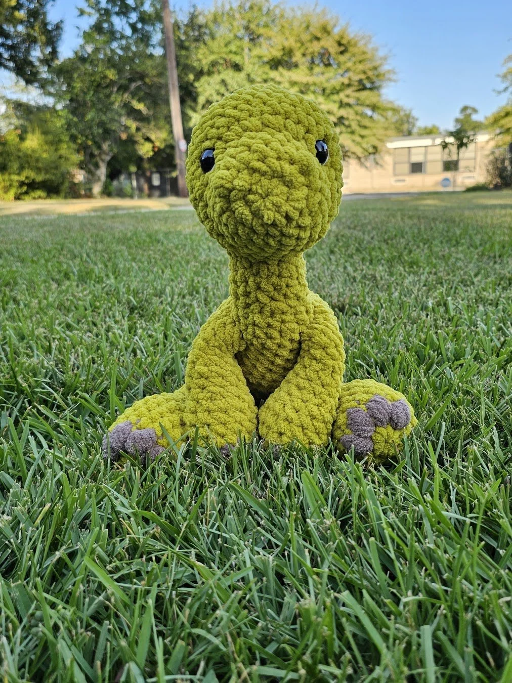 Cuddly Long Neck Dinosaur