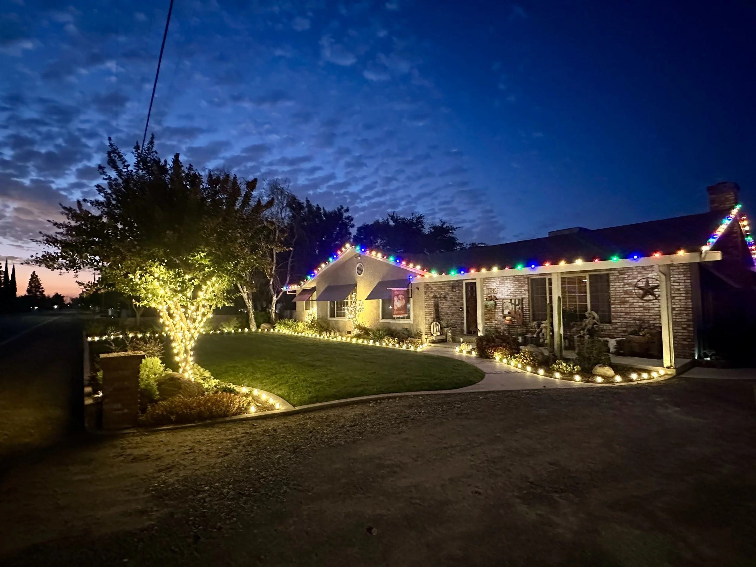 Professional Christmas Light Install