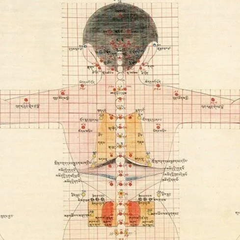 Sowa Rigpa External Therapies 1