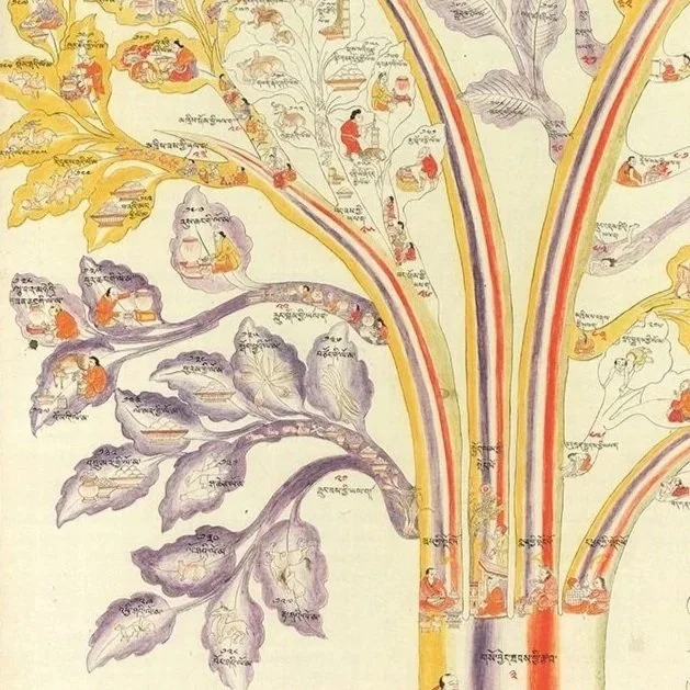 Sowa Rigpa Foundations