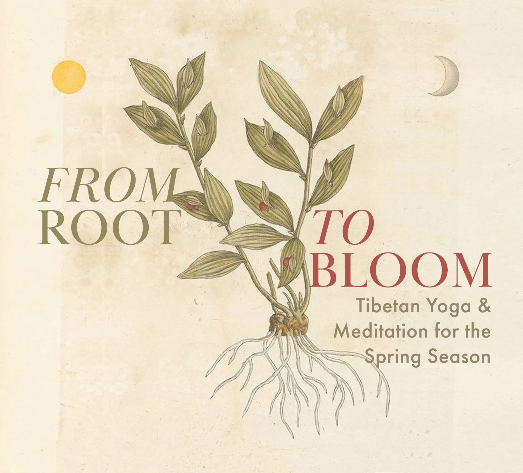 From Root to Bloom