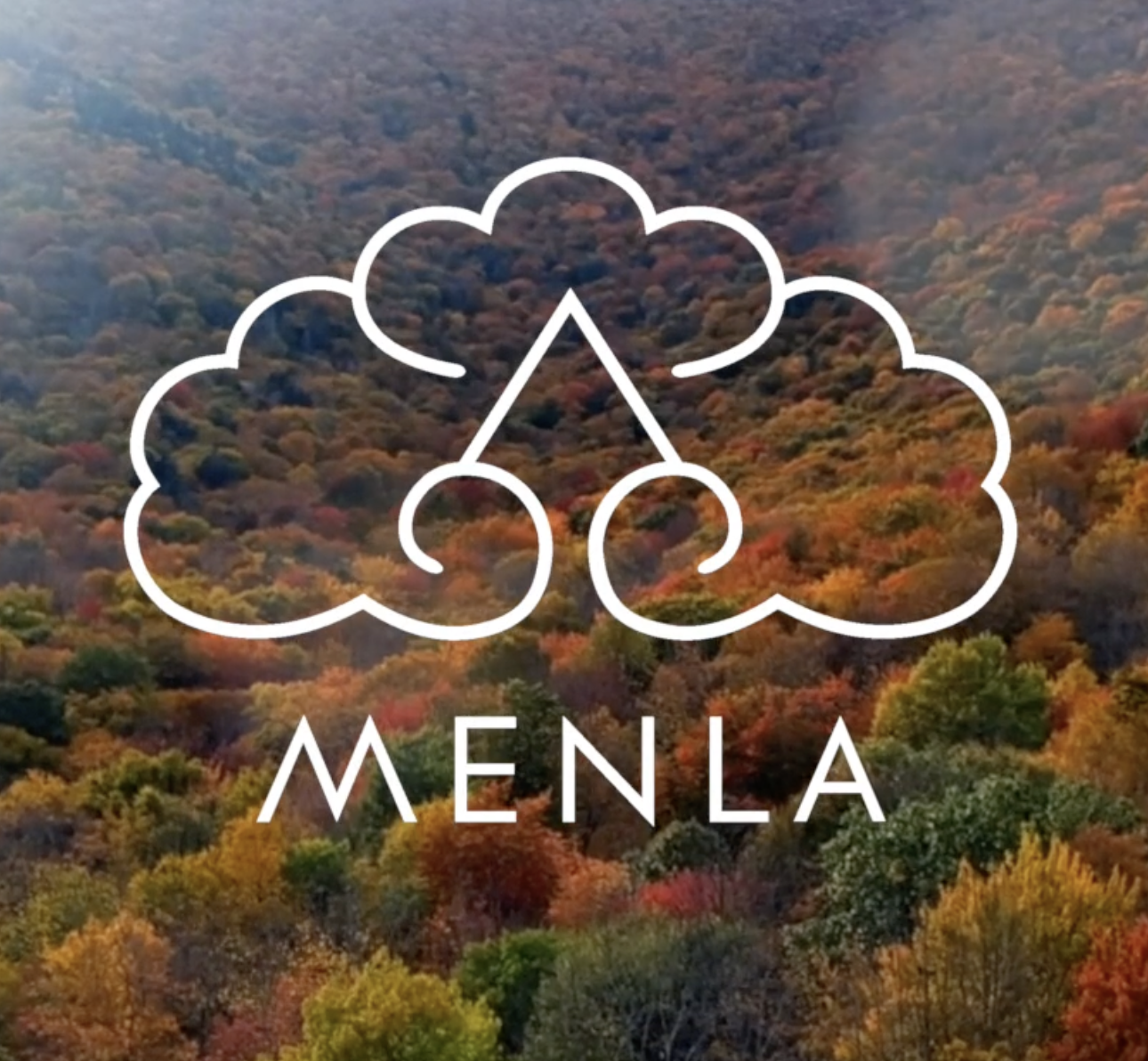Traditional Tibetan Medicine for Meditators