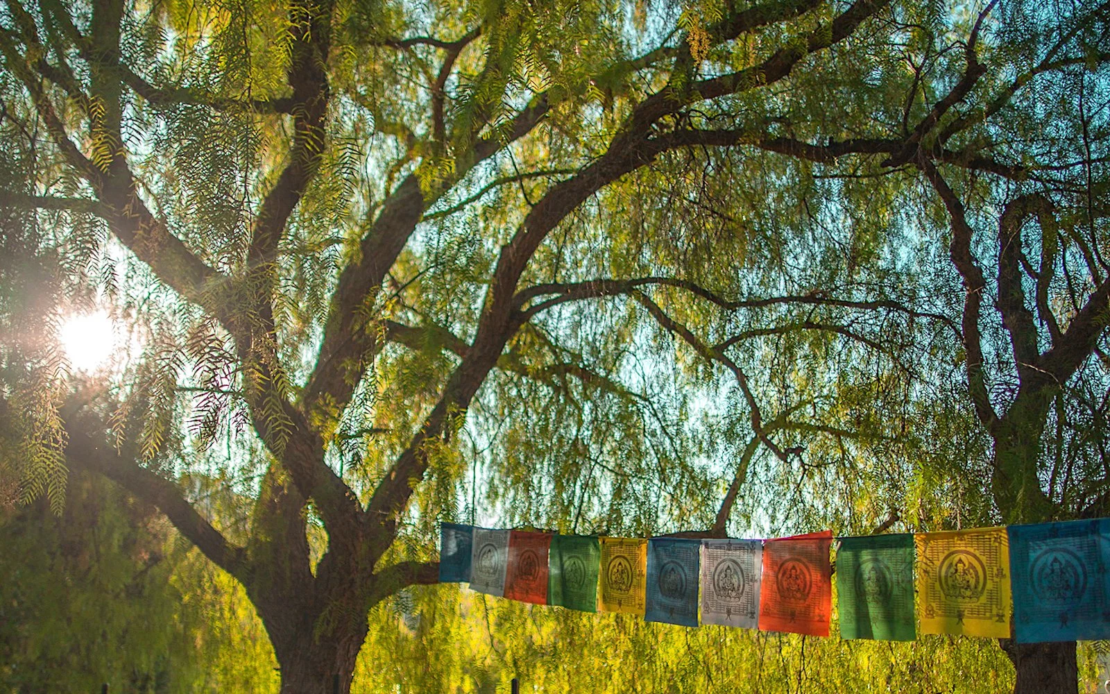 prayerflags banner.jpeg