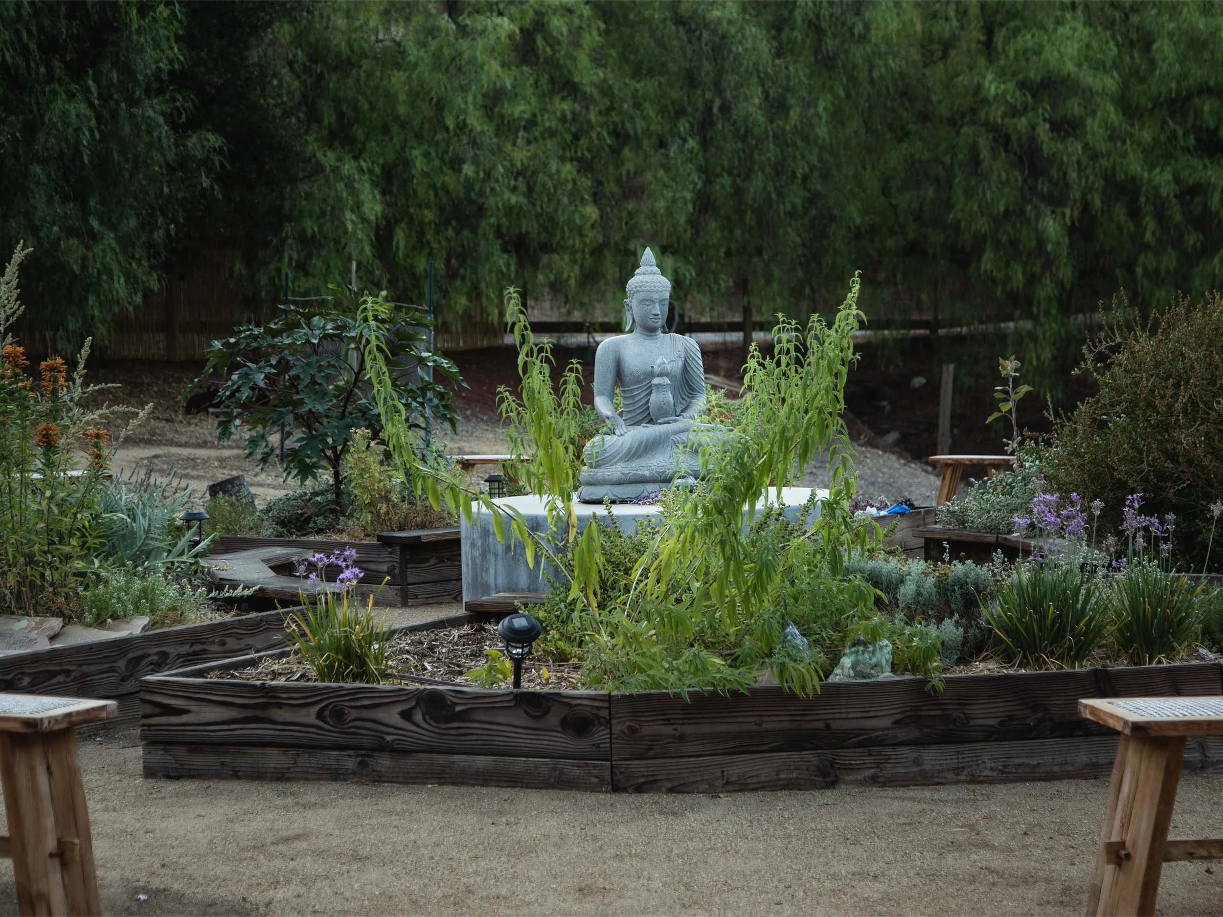 pure-land-california-garden-buddha.jpg