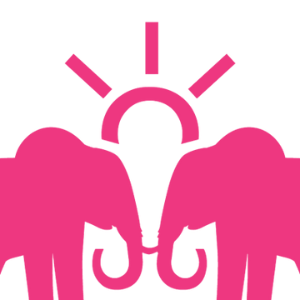 Two elephants facing each other with sun behind them, showing a part of LGN's logo to represent strategic operational support.
