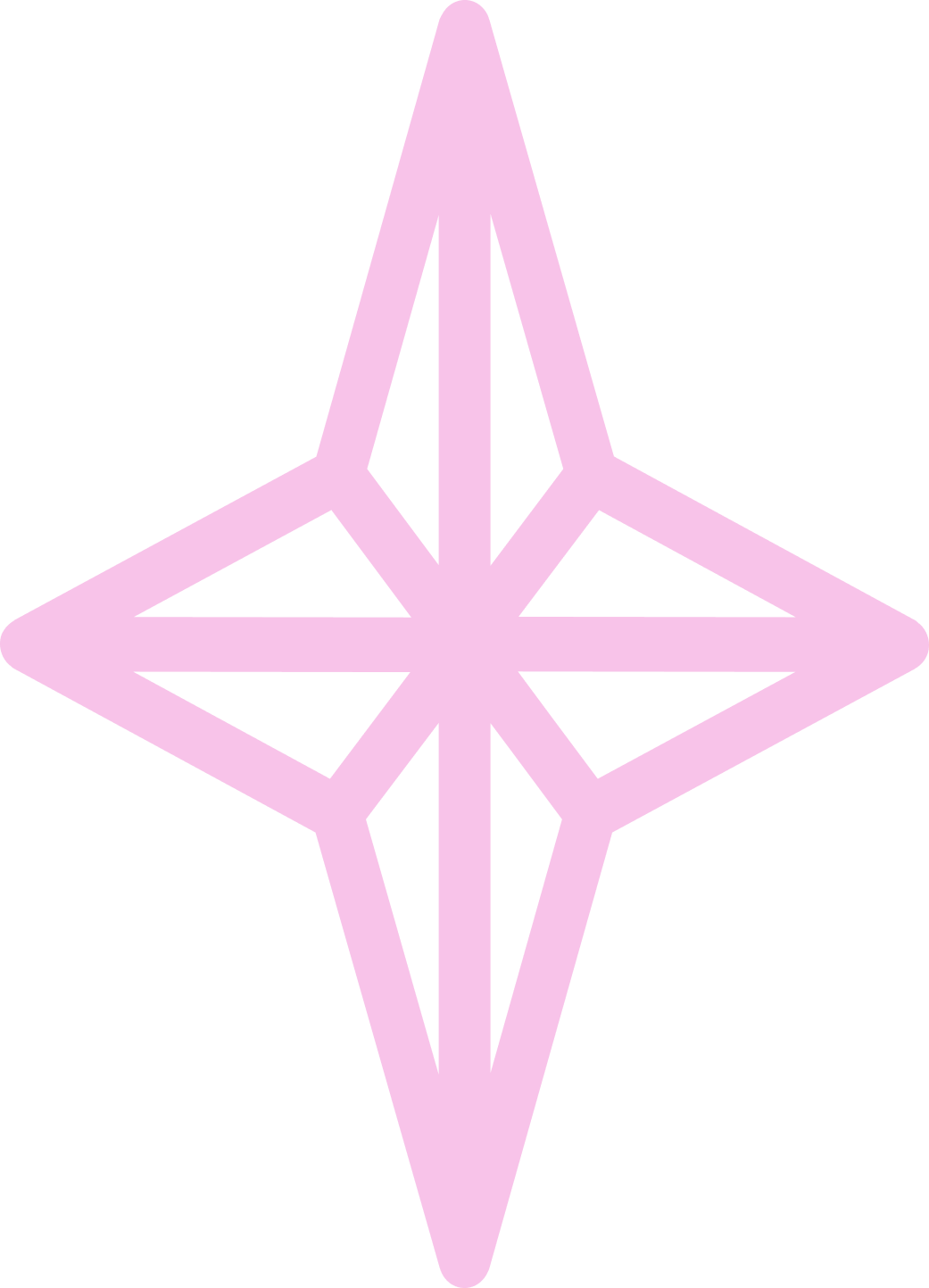 Midwest Princess Project