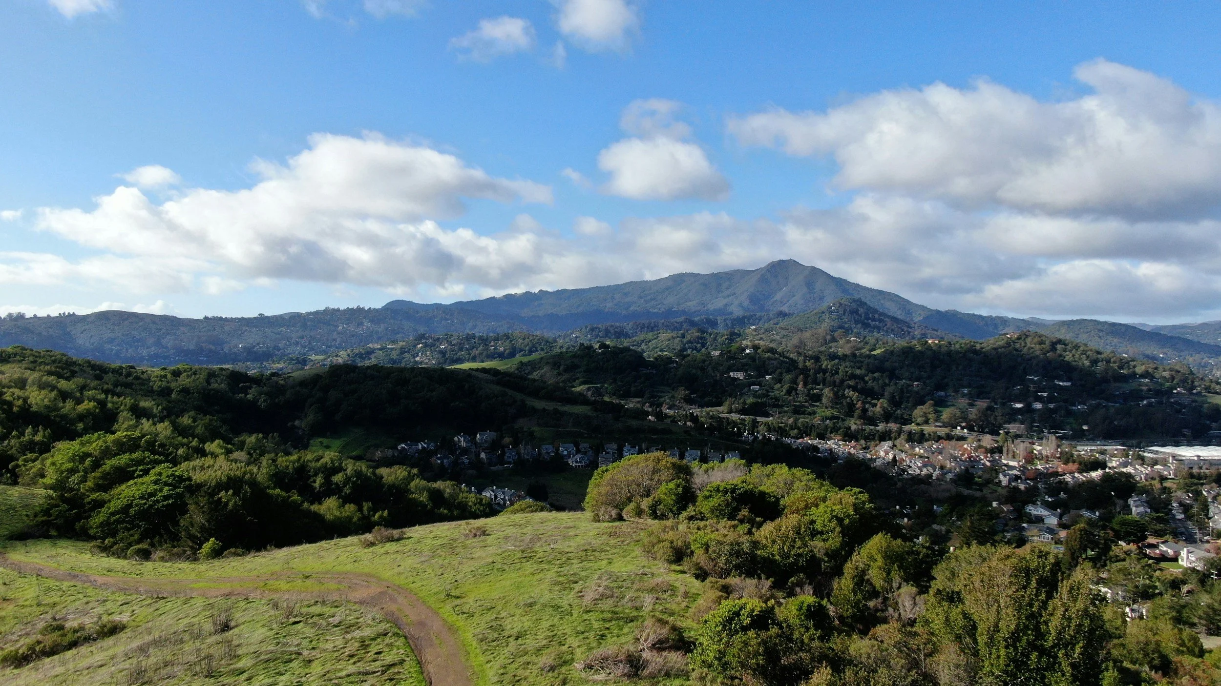 July 2026 | Marin Market Report