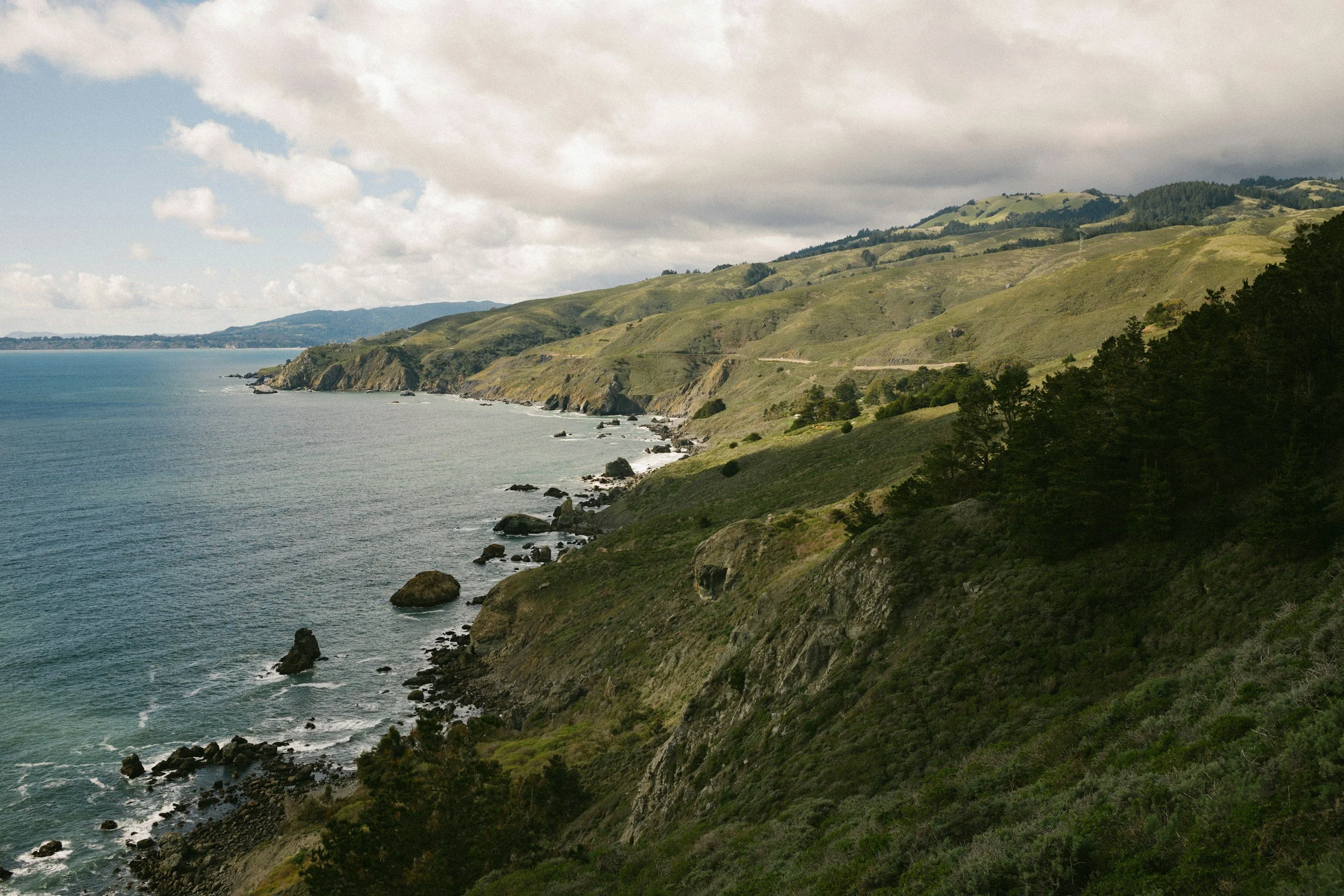 September 2026 | Marin Market Report 