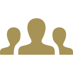 Consultation icon