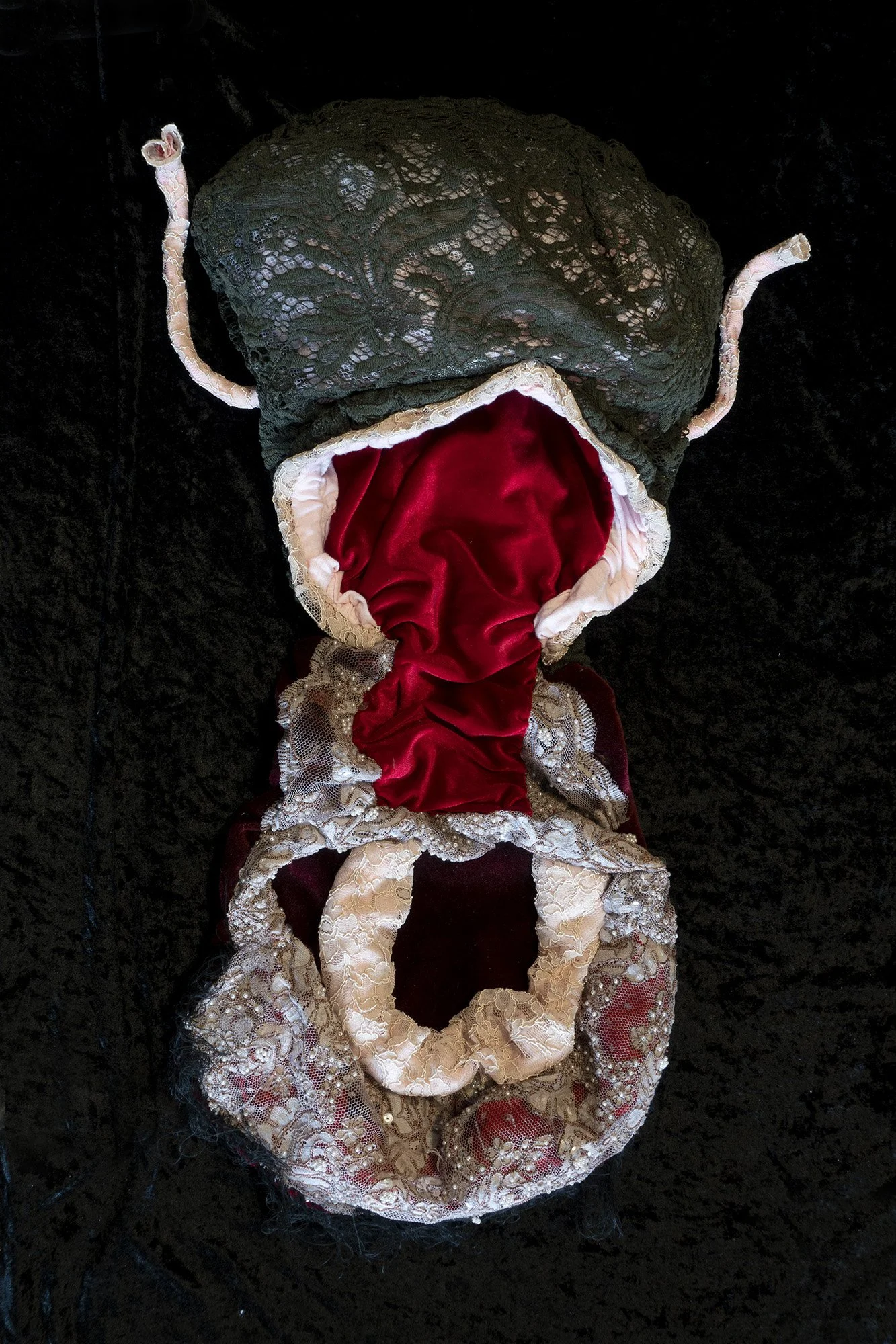 Steven's Uterus, after Steven Blankaart's 17th cent. diagram