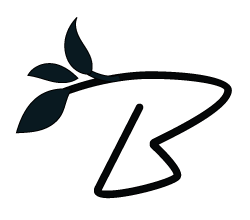 Bold Branch Collective