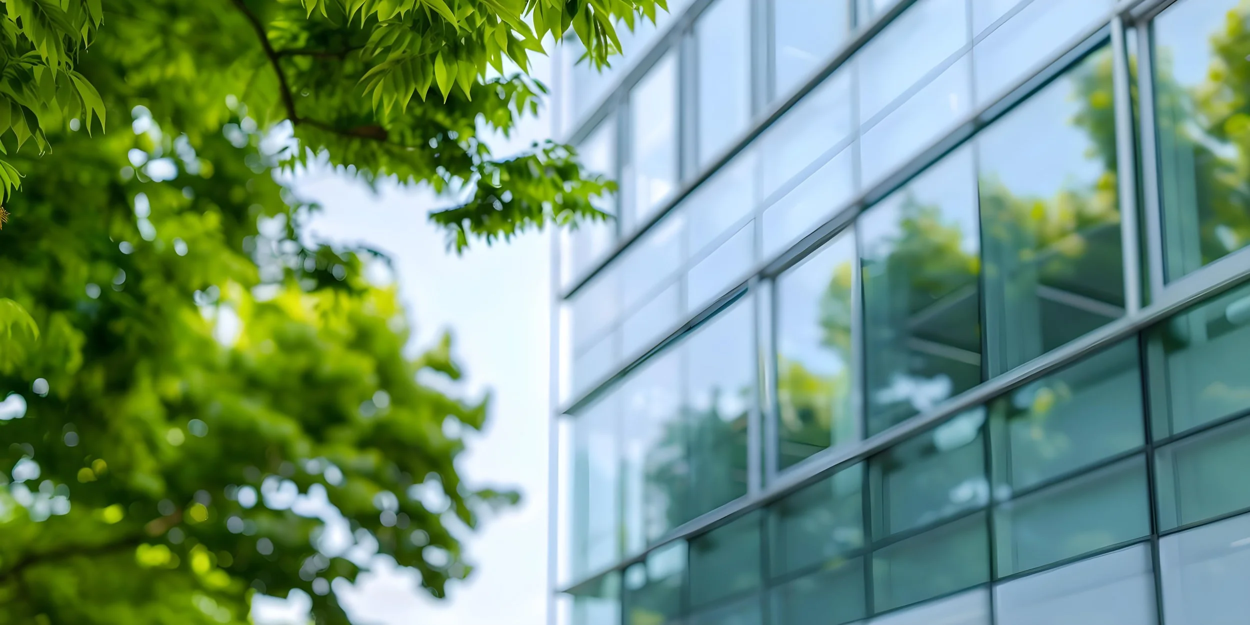 What’s your green building score?